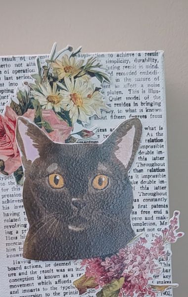 A black cat with yellow eyes collaged over newsprint with roses and daisies